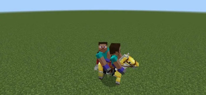 2 and 4 Addon screenshot