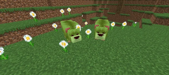 Bear Paw Addon screenshot