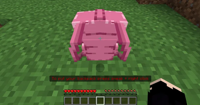 Basic BackPack Addon screenshot