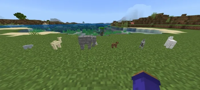 The Wool Soldiers Addon screenshot