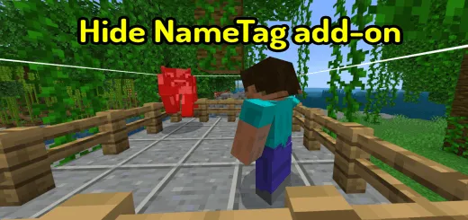 Hide Name Tag Addon thumbnail