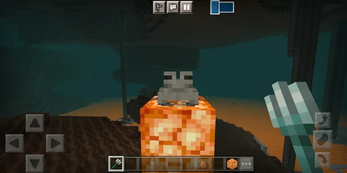 What Is That Addon screenshot