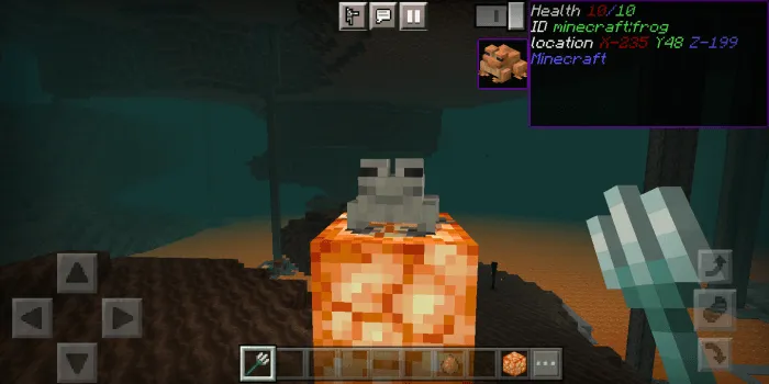 What Is That Addon screenshot
