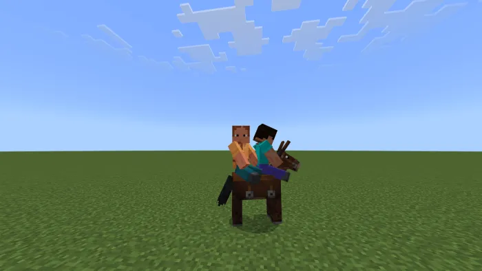 2 Players On Horse Addon screenshot