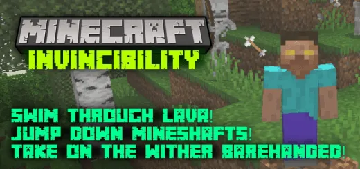 Invincibility Addon thumbnail