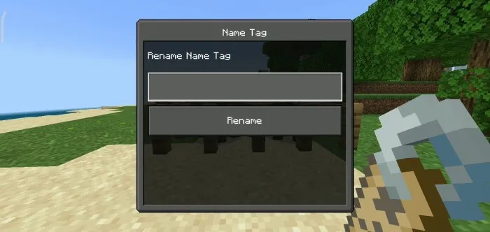 NameTagRename Addon screenshot