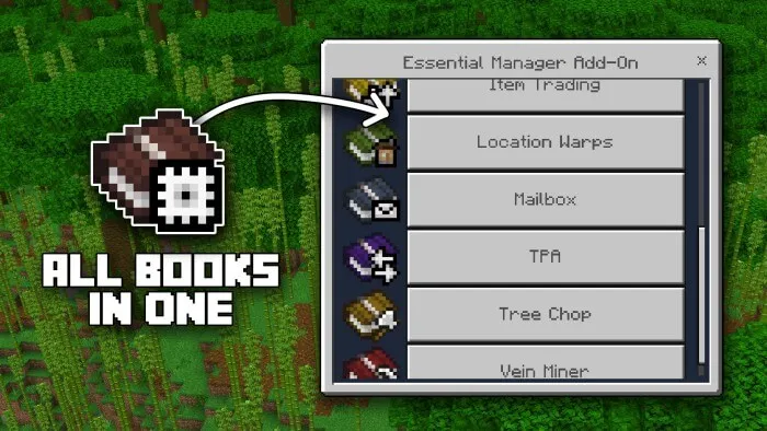 Essential Manager Addon screenshot