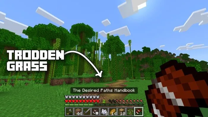 BEDROCK ESSENTIAL: Desired Paths Addon screenshot