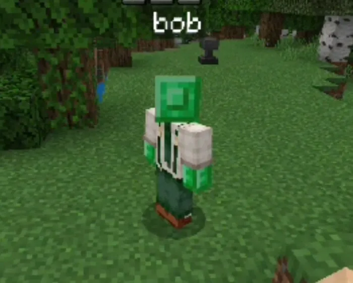 Player Rename Addon screenshot