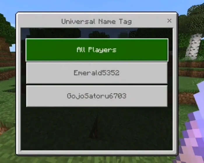 Player Rename Addon screenshot