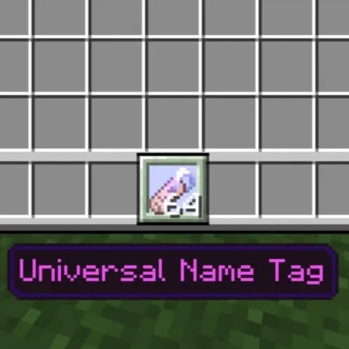 Player Rename Addon screenshot