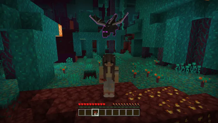 Baby Ender Dragon Addon screenshot