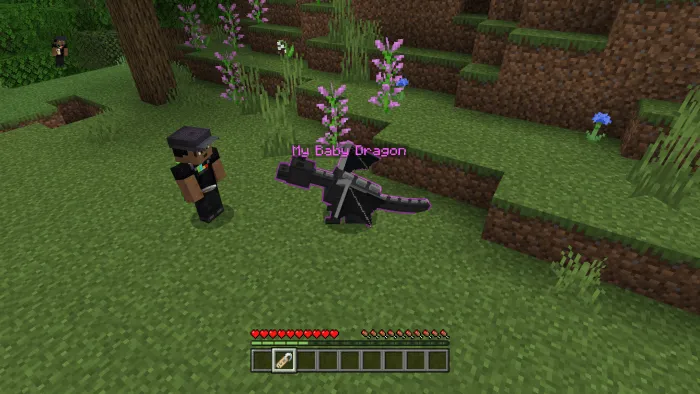 Baby Ender Dragon Addon screenshot
