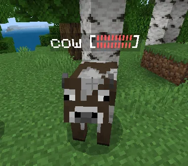 Any mob Health Display Addon screenshot