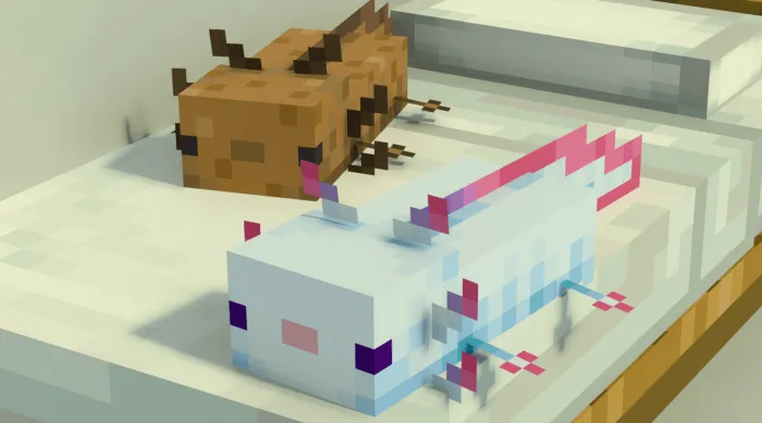 Axolotl Plushies on Beds Addon / Texture Pack screenshot