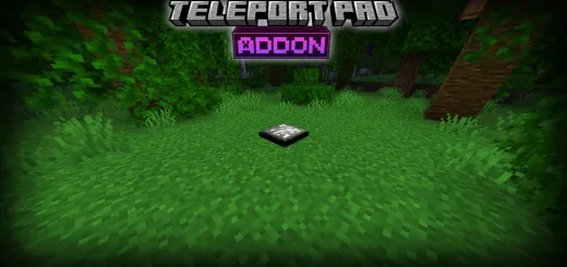 Teleport Pads Addon thumbnail