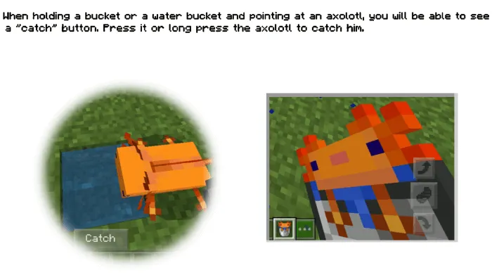 More Axolotl Variants Addon screenshot