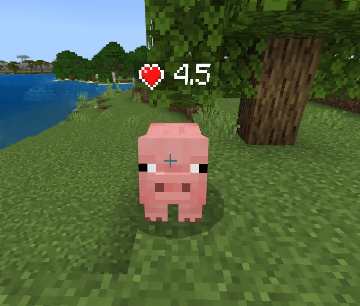 Health Display Mode Addon screenshot