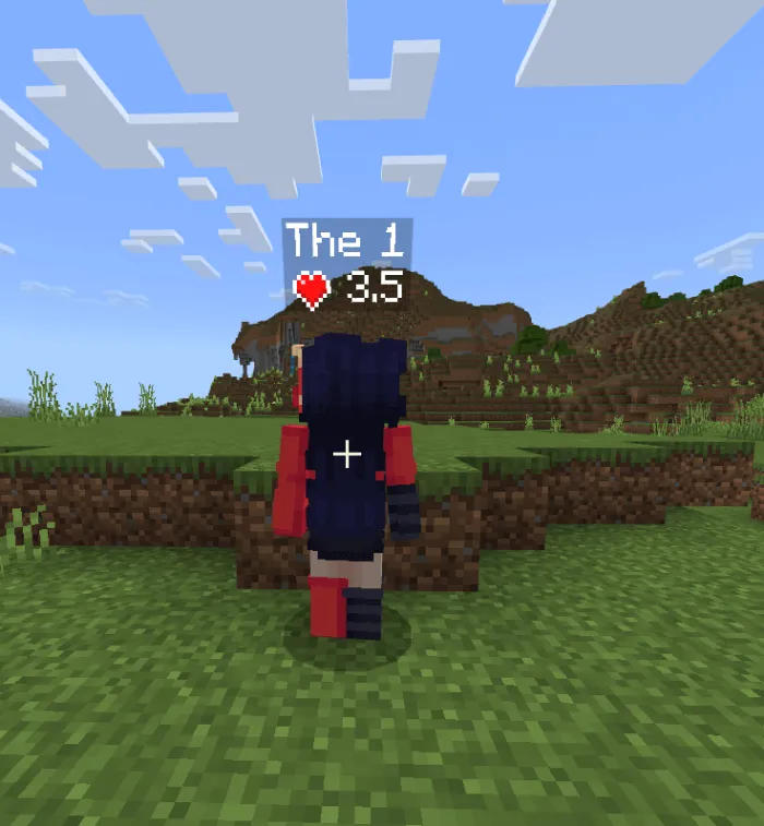 Health Display Mode Addon screenshot