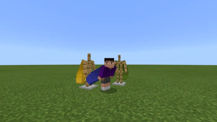 Colored Elytras Addon screenshot