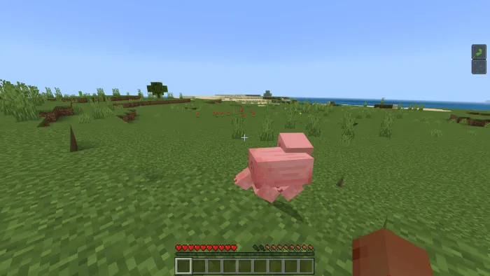 Minecraft But Every Hit You Get A Random Effect Addon screenshot