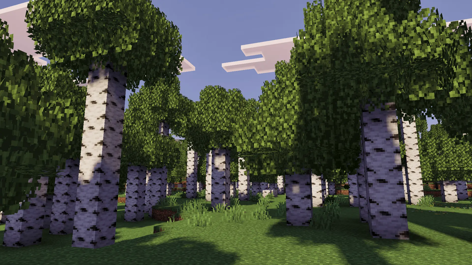Reef's Better Leaves – Texture Pack screenshot