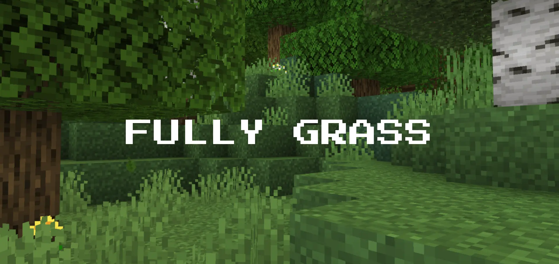 Fast Better Grass - Full Grass – Texture Pack thumbnail