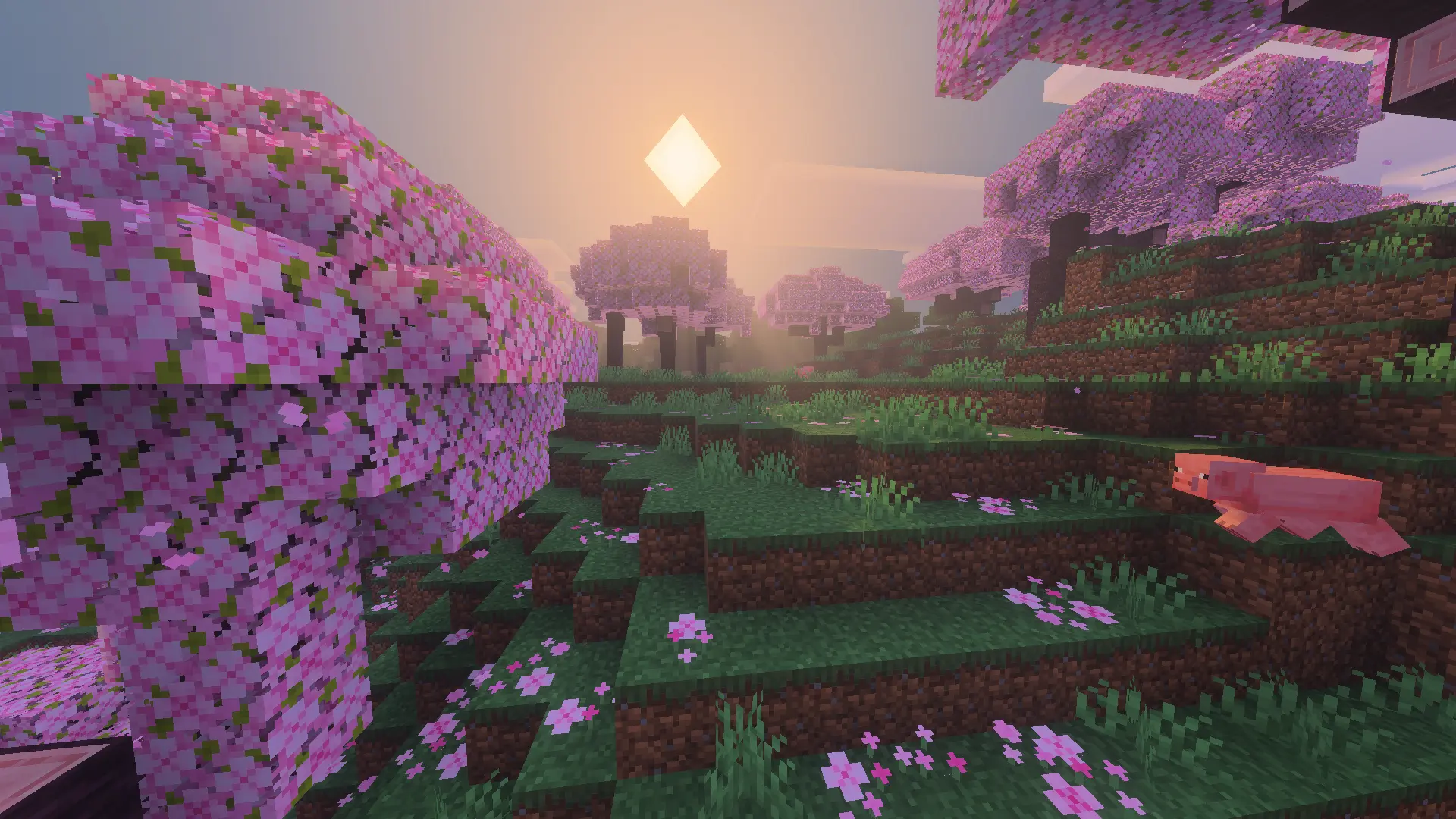 ADS VIBRANT VISUALS Resource Pack screenshot