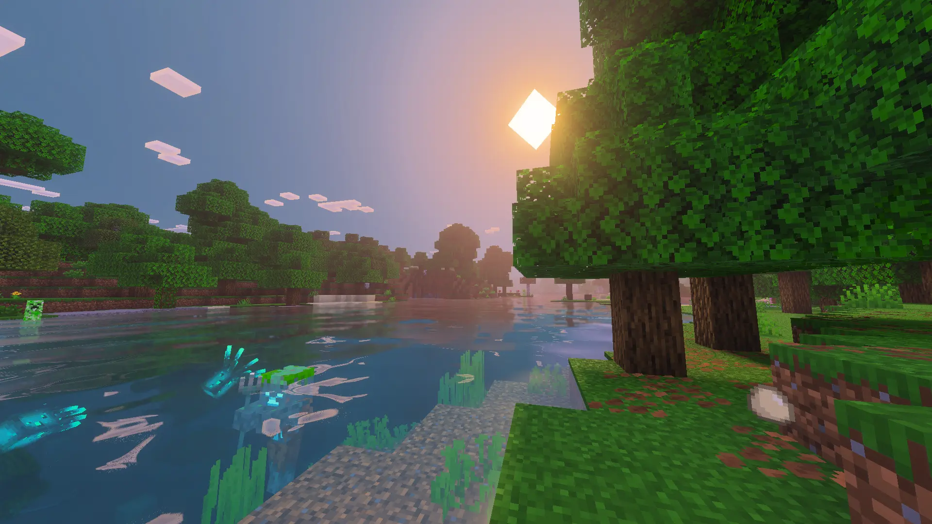 ADS VIBRANT VISUALS Resource Pack screenshot