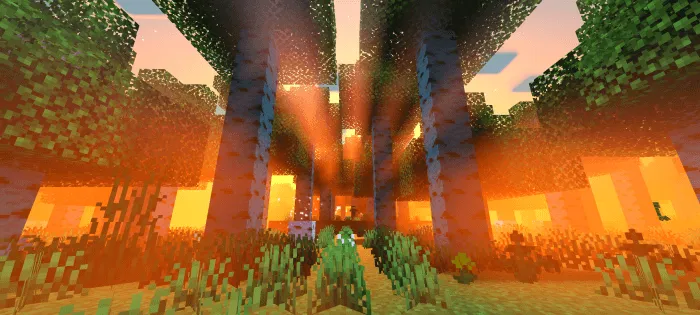 Newb X Dragon – Texture Pack screenshot