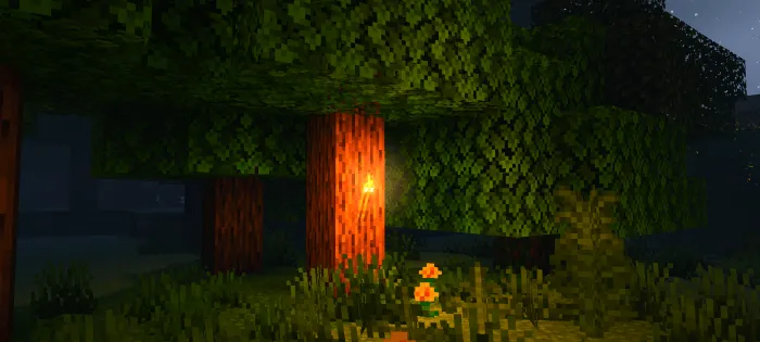 Newb X Dragon – Texture Pack screenshot