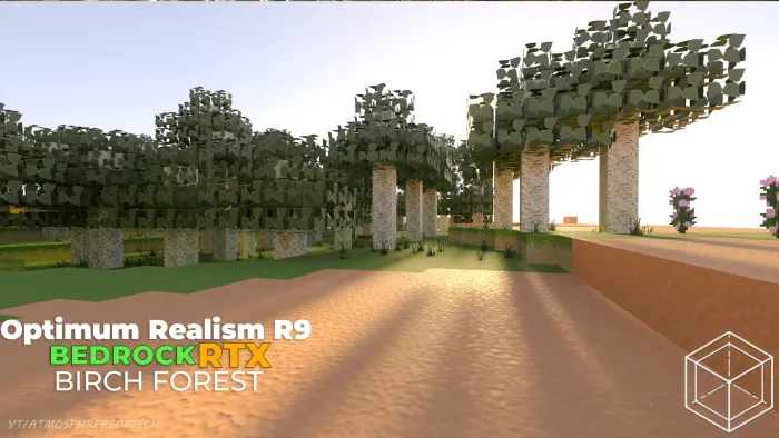 Optimum Realism – Texture Pack screenshot