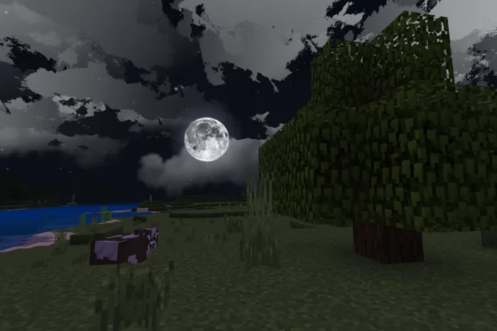 HD Vanilla Shaders - FPS Friendly Addon screenshot