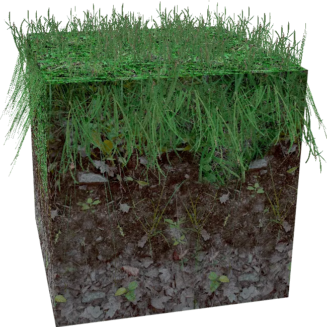 MINECRAFT RTX GRASS – Texture Pack screenshot