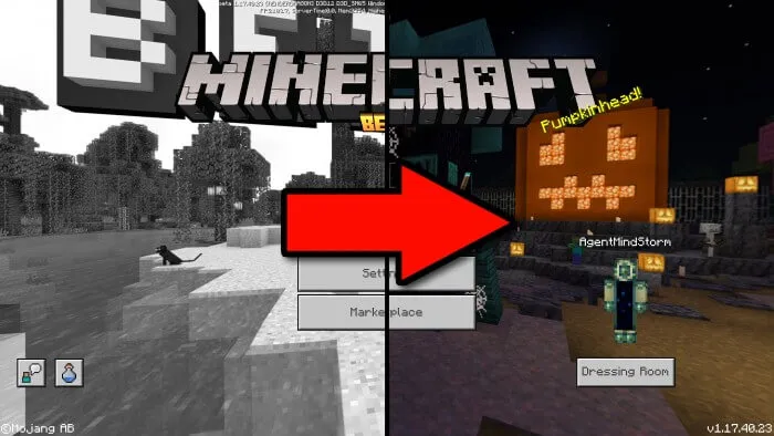 Beta Hider Resource Pack thumbnail