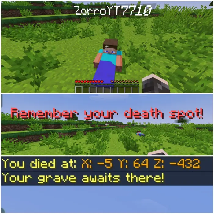 Player Dead Body Mod / Addon screenshot 2