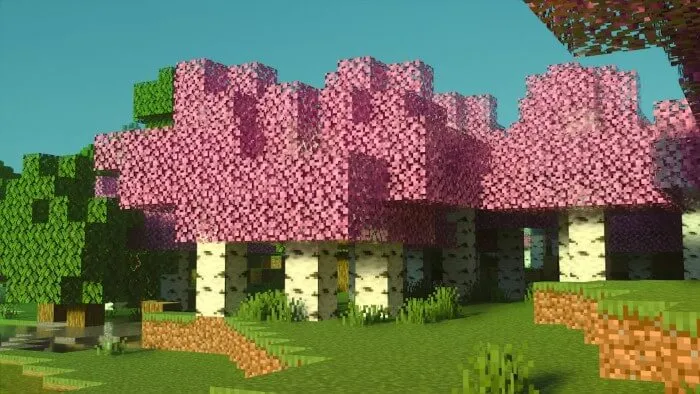 Birch Plus+ – Texture Pack screenshot
