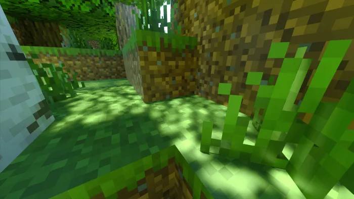 Fishy's Wonderful RTX – Texture Pack screenshot