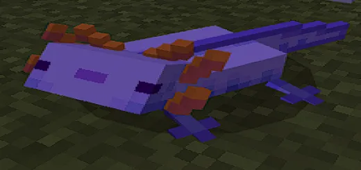 Better Axolotls (3D Details) Addon / Texture thumbnail