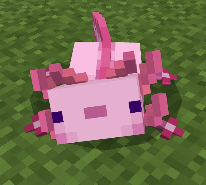 Better Axolotls (3D Details) Addon / Texture screenshot