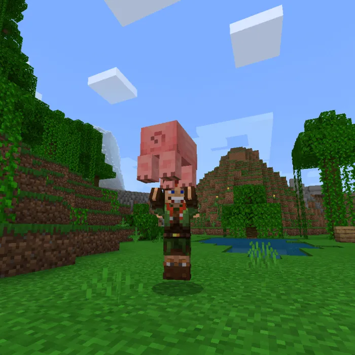 Pick up & Carry Addon screenshot 2