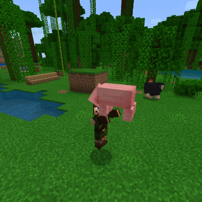 Pick up & Carry Addon screenshot 3