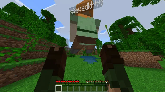 Pick up & Carry Addon screenshot 5