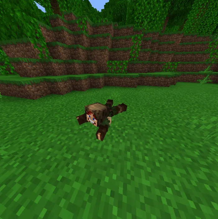 More Body Actions + Pickup & Carry + Multiplayer Home System Addon screenshot 4