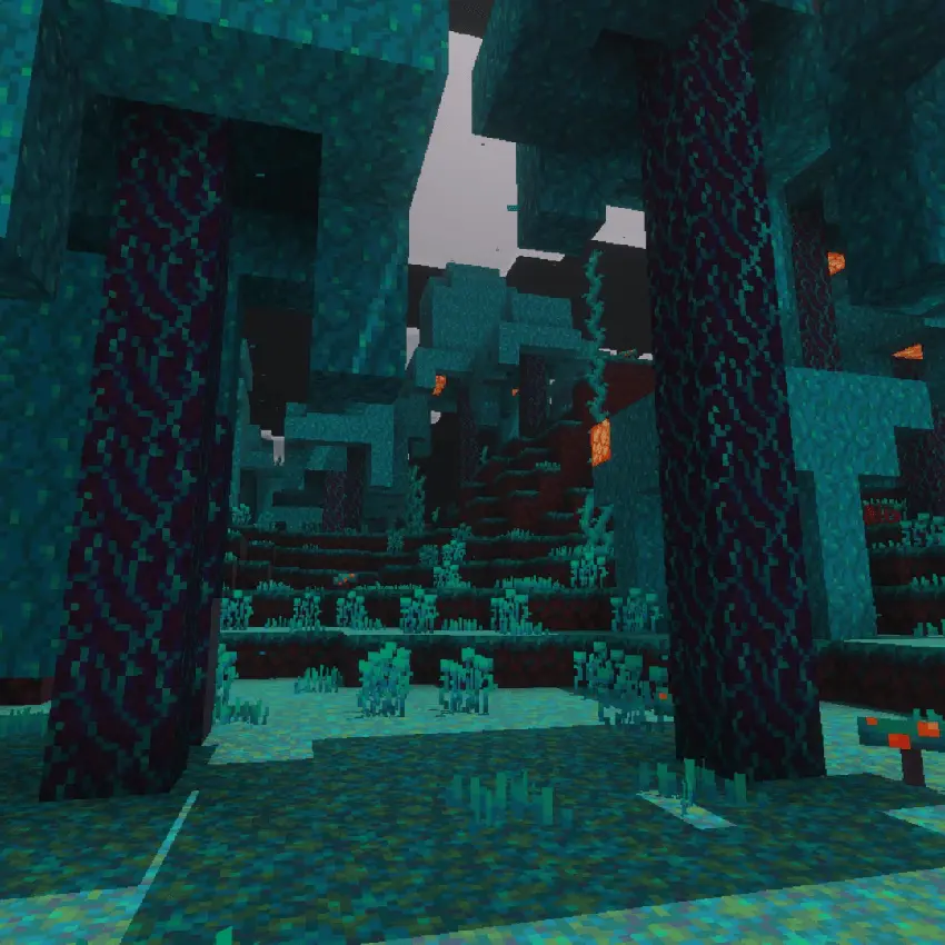 warped forest world 11 map screenshot
