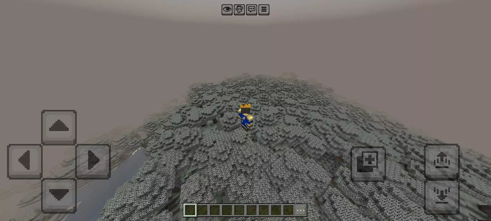infinite pale garden biome map screenshot