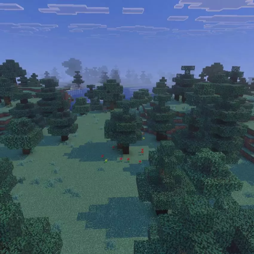 spruce world infinite biome map screenshot