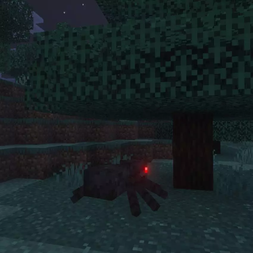 spruce world infinite biome map screenshot