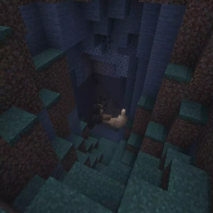spruce world infinite biome map screenshot