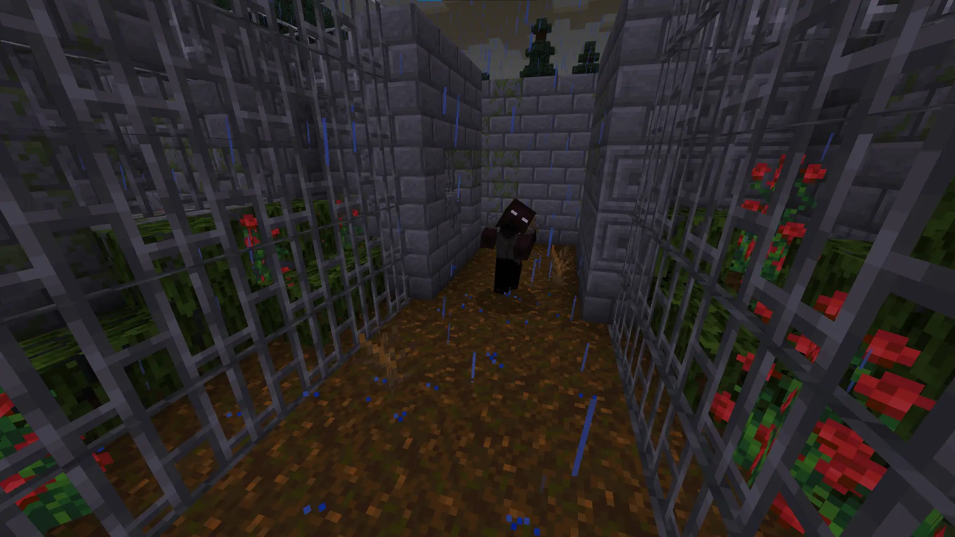 pumpkins quest map screenshot